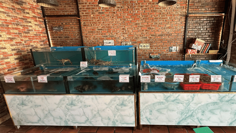 food tour đà nẵng bể hải sản