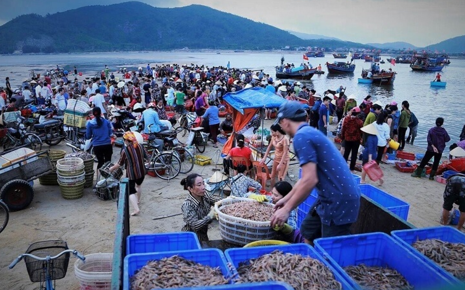 2025年ダナンのシーフードレストランTOP7